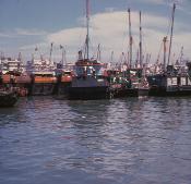 VAS041728